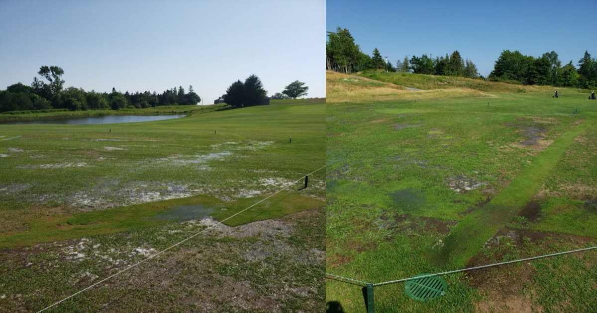 Waterlogged fairway expansion before drainage work